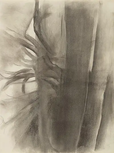 Georgia O'Keeffe Drawings